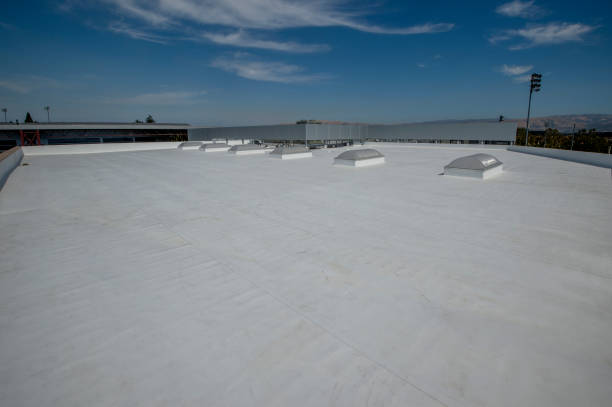 Best Commercial Roofing Services  in Charlotte, MI