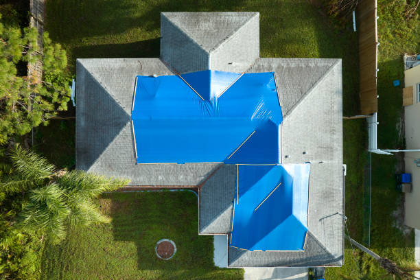 Best Roof Maintenance and Cleaning  in Charlotte, MI