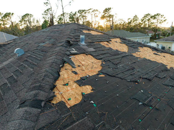 Best Sheet Metal Roofing  in Charlotte, MI